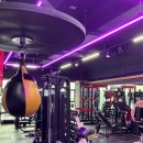 준 복싱클럽 이미지