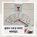 팜젠사이언스 솔루티 지속성 비타민 비타잉C 구매 후기