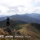 향로산자연휴양림 티스토리
