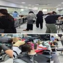 반려견 패션 전문가 양성과정 | 대구헤어자격증학원 자격증부터 실무까지 완벽 정복