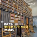 경주월드 숙소 추천, 만화 카페 책장 속 게스트하우스 북홈경주 내돈내산 솔직후기
