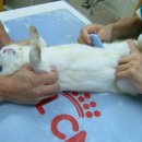 하트동물병원 이미지