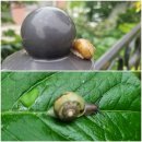 신안군 흑산면 만재도보건진료소 | 섬&amp;산100 만재도, 신안#93