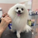 스퀘어에듀센터 이미지