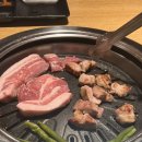 삼복토종닭도리탕 | 천방지축 어리둥절 빙글빙글 돌아가는 아라의 하루(23.06.12~06.18)