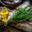 로즈마리 이미지