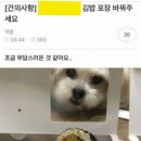 김밥스토리 이미지