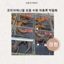 2025 코리아애니멀 포럼 수원 파충류 박람회