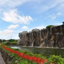 (주)제주미니미니랜드 이미지