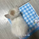 먼지.zip 이미지