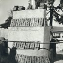 신촌초등학교 이미지