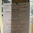 [태안숙소] 촌캉스&amp;글램핑 가성비숙소 복고바다 내돈내산 후기 ::: 바베큐/불멍/불꽃놀이 + 갯벌체험...
