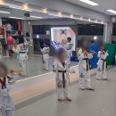 경희대 최강 태권도장 이미지