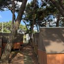 카페로운 | [블챌 8주차] 당진 카페 로우 솔직 후기