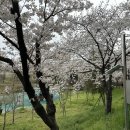 투다리도산점 네이버블로그