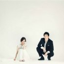 스튜디오미니테일 이미지