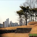 최정걸 장군 묘 이미지