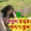 홍천숯불백 이미지