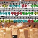 시냇가에심은나무