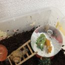 범계 아웃백 앞 | 2026년 새해 뾲 🧧❤️