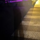 ~12 04 내 맘대로 후기 - 노래 (도후, love)