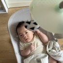 베이비뵨 바운서 사용시기 일본 직구 내돈내산 후기
