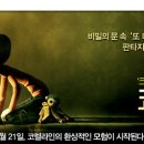 청간미디어