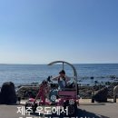 바이크나라 | 제주 우도 스쿠터 바이크 대여 코코나라 | 예약 가격 반납 후기