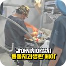 동물치과병원메이 이미지