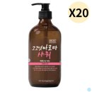 퍼피움 이미지