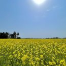 상예동-5 이미지