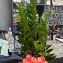 라복싱짐 이미지