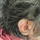 부안보청기 이미지