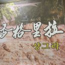 경희동문약국 이미지