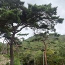 방울산등산로 | 부산 백양산 등산코스 선암사 출발 주차 가능 초보 등산 후기 가을 등산