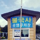 블루문 유스텔 이미지