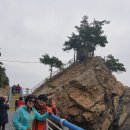 강릉목장 이미지