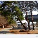 낙가사 - 1340 | 낙가사
