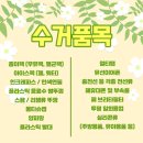 세탁정거장 이미지