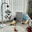 가인광고디자인 | 꿈비 리코코 양면이중코팅 더블 원피스 매트 284*240 내돈내산 후기