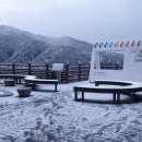 한결임업(주) | 2024년 산림기능사 실기 후기(강릉교육원)