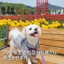 GS25포천본점 | 25년 포천한탄강 가든페스타 애견동반 놀거리 및 식당(지장산막국수 강아지)