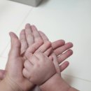 7623 | 닌자블렌더 내돈내산 솔직후기, 후기 많은 곳에서 사보니 인기 이유 알겠어요