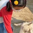 창의목장 이미지