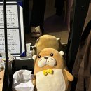 세기헬스마트 이미지