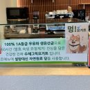 그릭앤베이글
