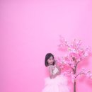 다이소 인천갈산점 | [인천 부평] 오우예 셀프사진관