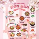 보은꽃 이미지