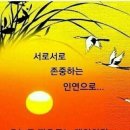오늘은 이미지