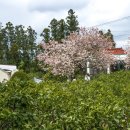 회수동-4 이미지